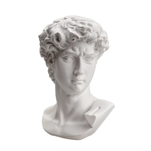 Michelangelo david bust - michelangelo's,